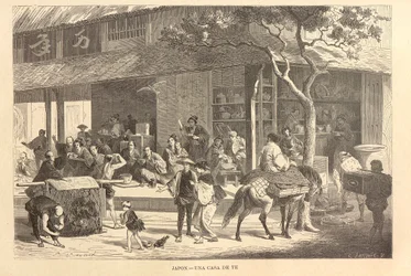 Neue universelle Geographie